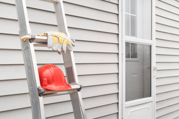 Best Siding Removal and Disposal  in Big Lake, MN